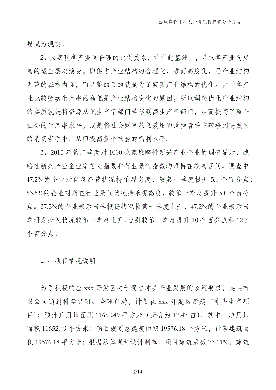 冲头投资项目经营分析报告_第2页