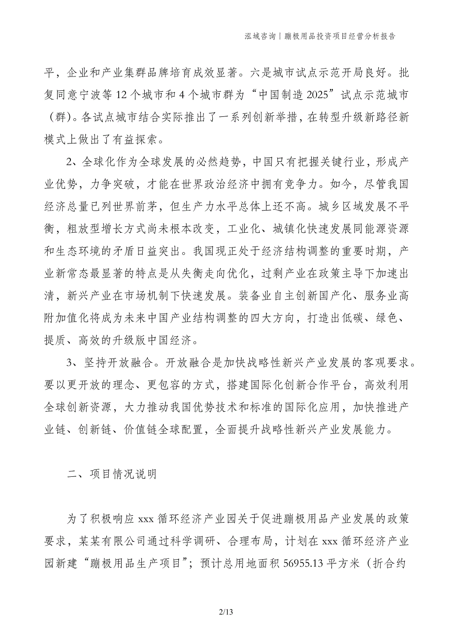 蹦极用品投资项目经营分析报告_第2页