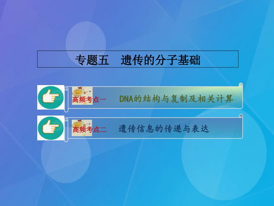 高考生物二轮复习 专题5 遗传的分子基础课件_第1页