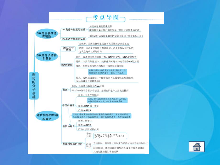 高考生物二轮复习 专题5 遗传的分子基础课件_第3页