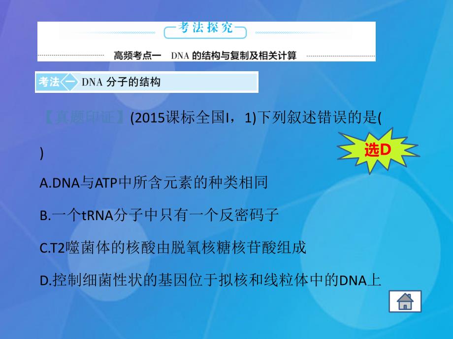 高考生物二轮复习 专题5 遗传的分子基础课件_第4页