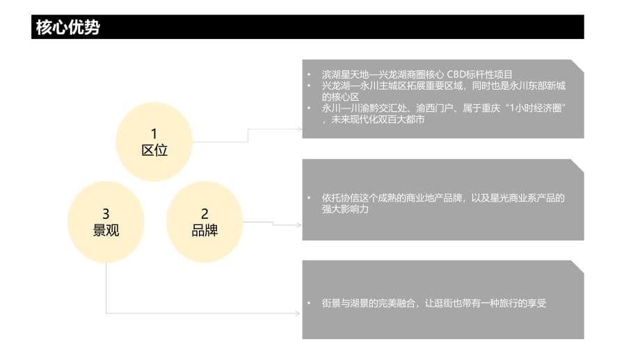 滨湖星天地招商发布会活动方案_第5页