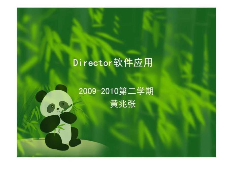 director课件_第1页