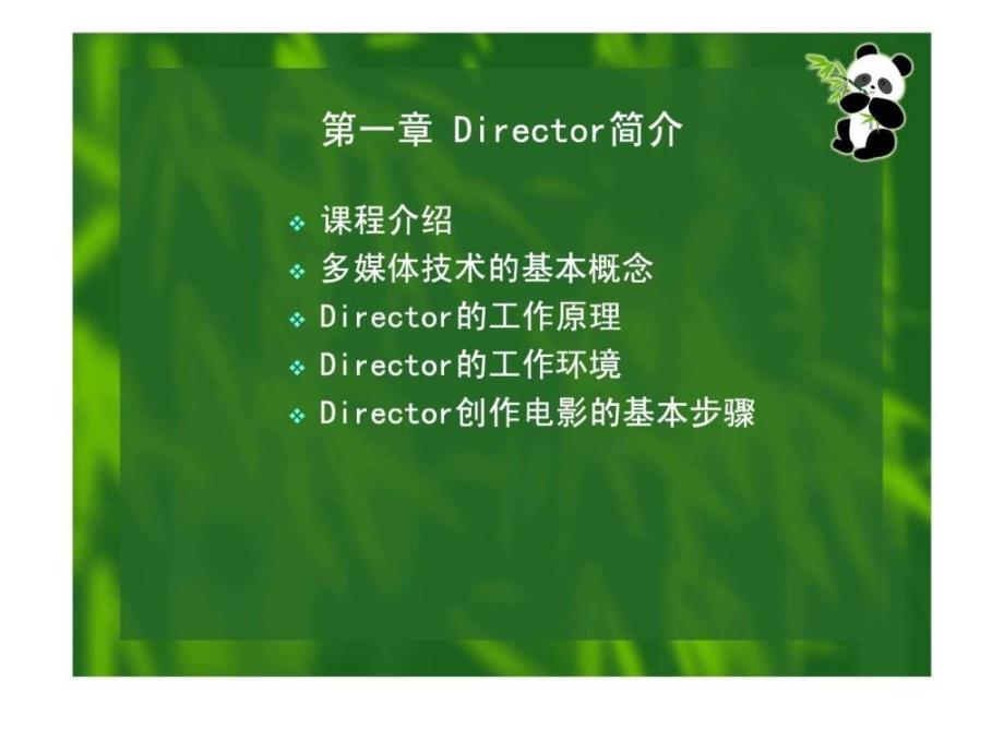 director课件_第4页