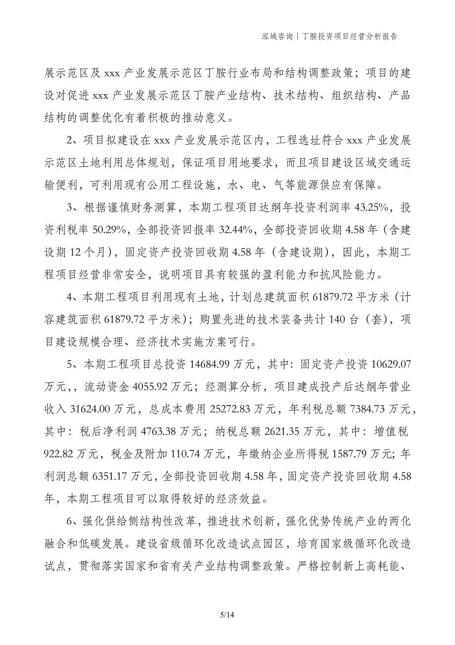 丁胺投资项目经营分析报告_第5页