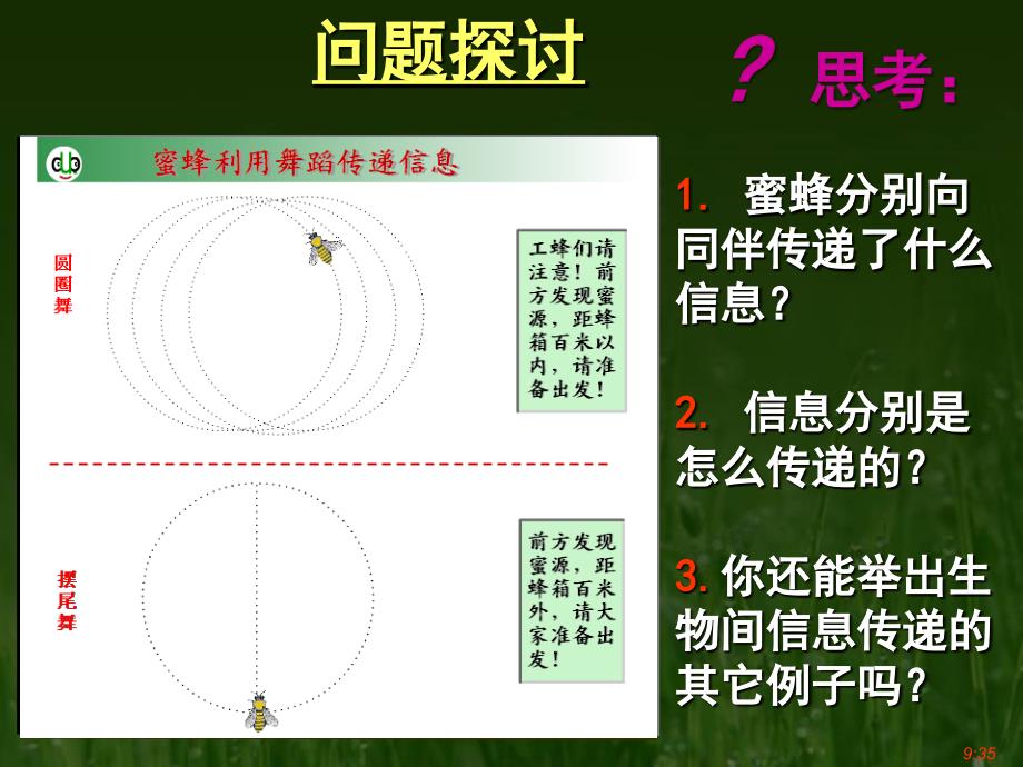 生态系统的功能之信息传递_第2页