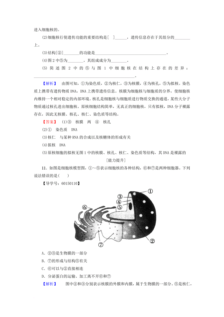 高中生物 第2单元 第2章 第2节 核酸与细胞核学业分层测评 中图版必修_第4页