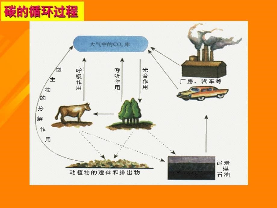 高中生物 第五章 5_3 生态系统的物质循环课件 新人教版必修31_第5页