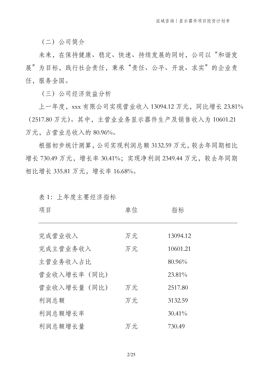 显示器件项目投资计划书_第2页