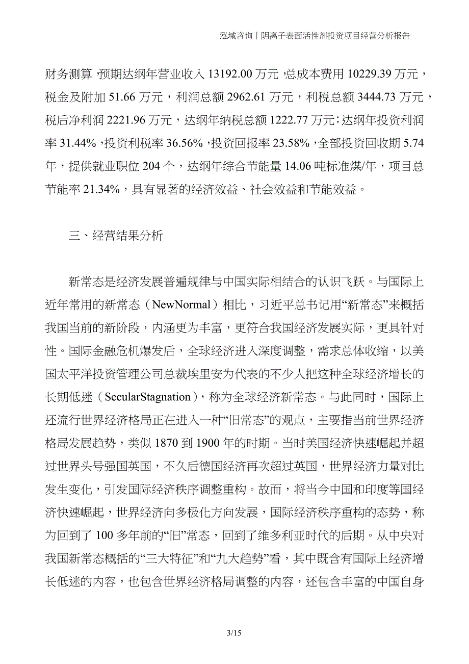 阴离子表面活性剂投资项目经营分析报告_第3页