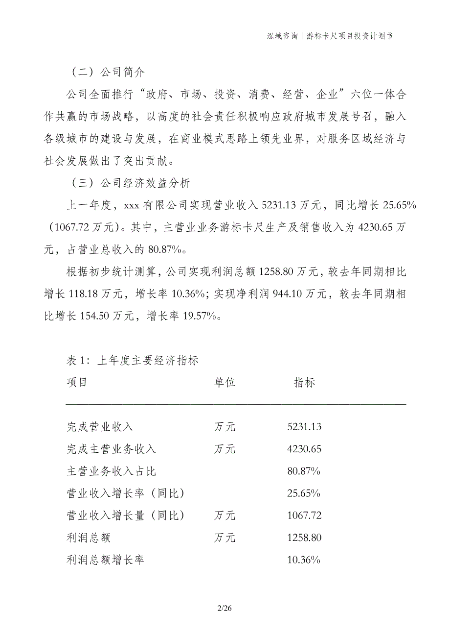 游标卡尺项目投资计划书_第2页