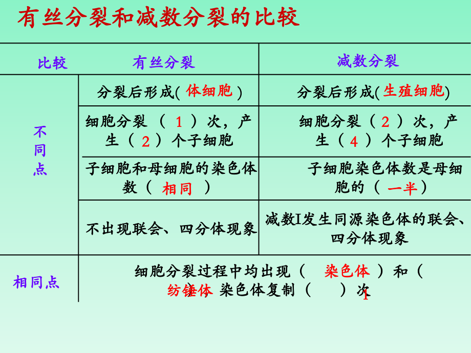 生物专业英语教学细胞繁殖_第4页