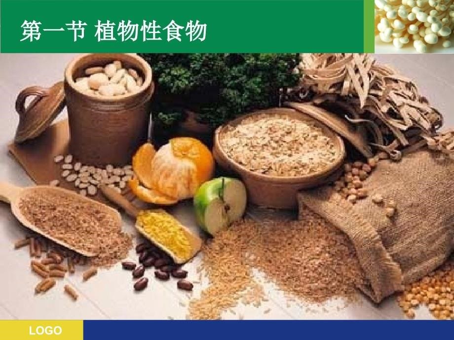 第四章-各类食物的营养价值_第5页