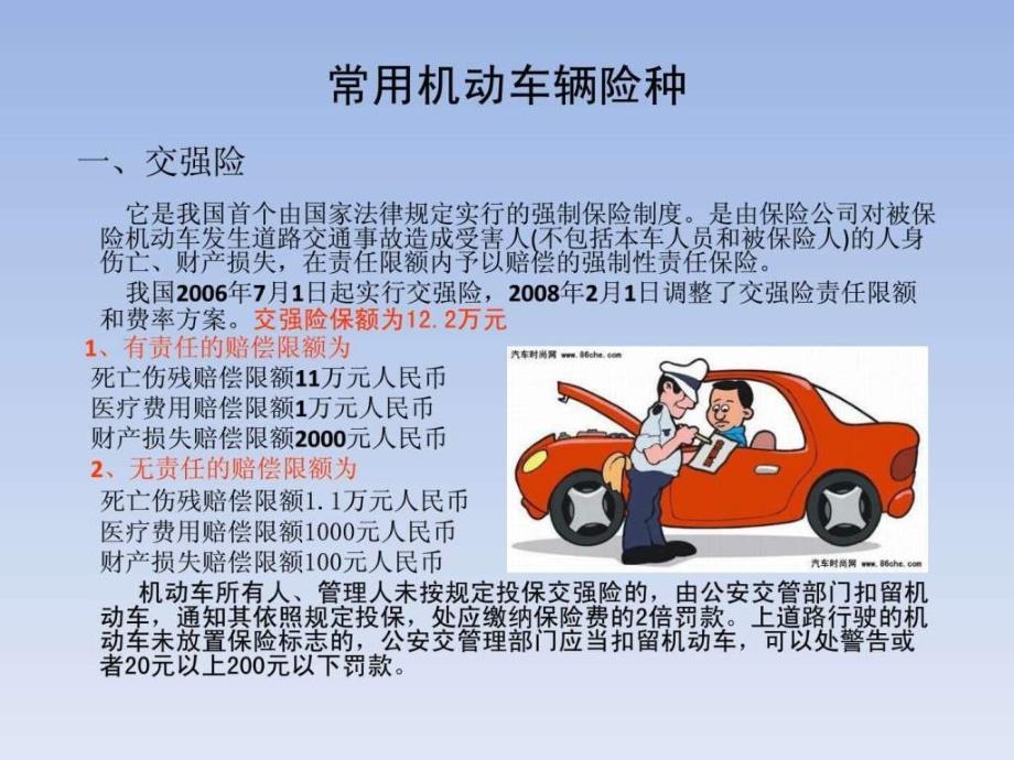 汽车常用保险和注意事项_第1页