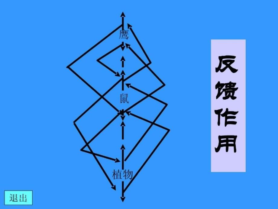 精品课件-生态平衡_第4页