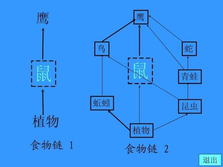 精品课件-生态平衡_第5页