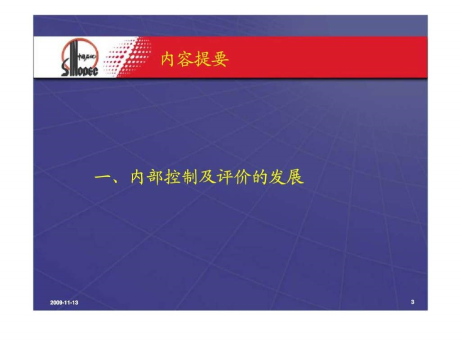 中国石化-企业内部控制及评价_第3页