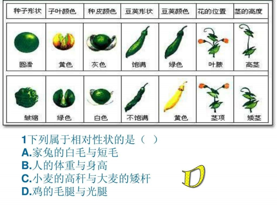 生物必修二全套_第4页