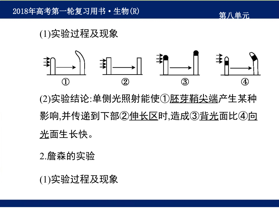 2018届高考《生物》最新第一轮复习名师课件-第8单元-生命活动的调节_第4页