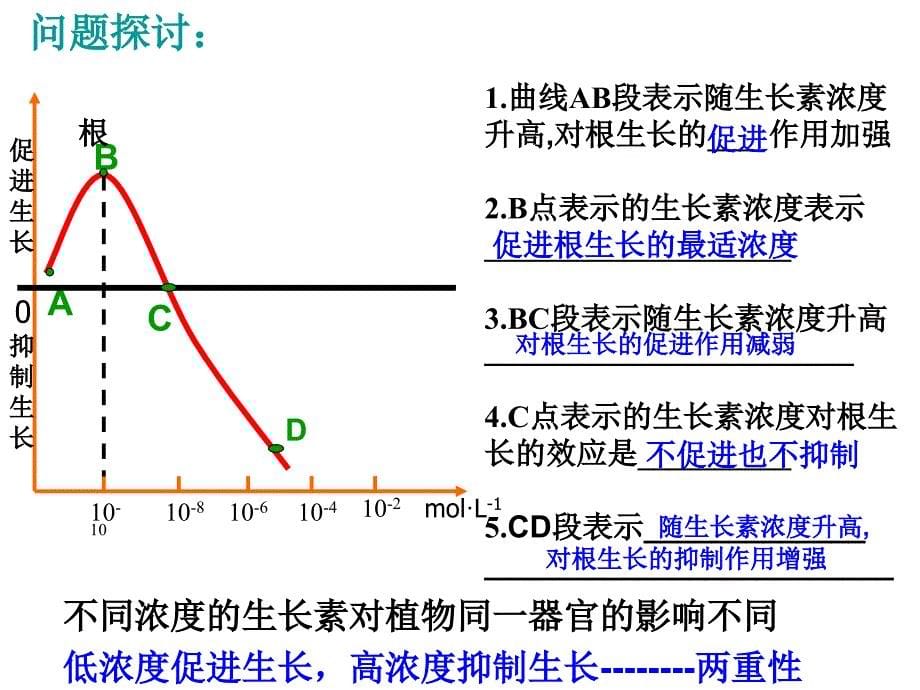 优质课-生长素生理作用_第5页