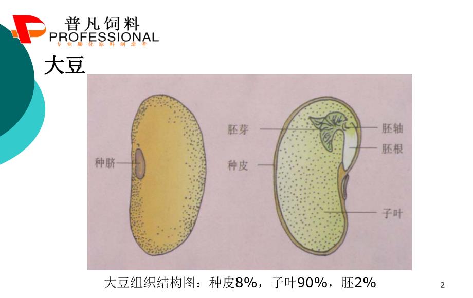 膨化大豆与膨化玉米_第2页