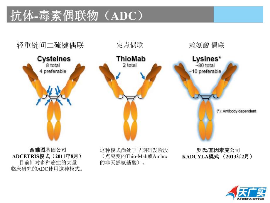 抗体类药物的质量控制—张伯彦20130730_第4页