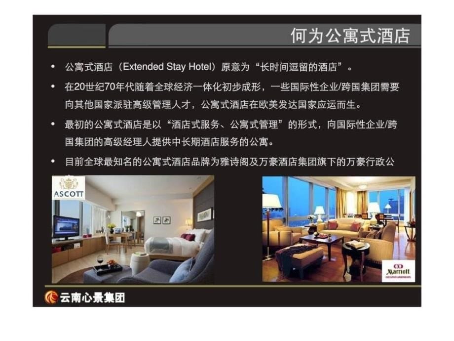 云南心景集团-公寓式酒店定位设想可行性专项研究_第5页