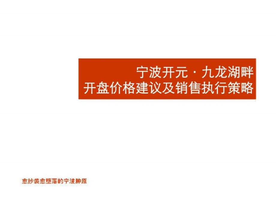 中原宁波开元九龙湖畔开盘价格建议及销售执行策略_第1页