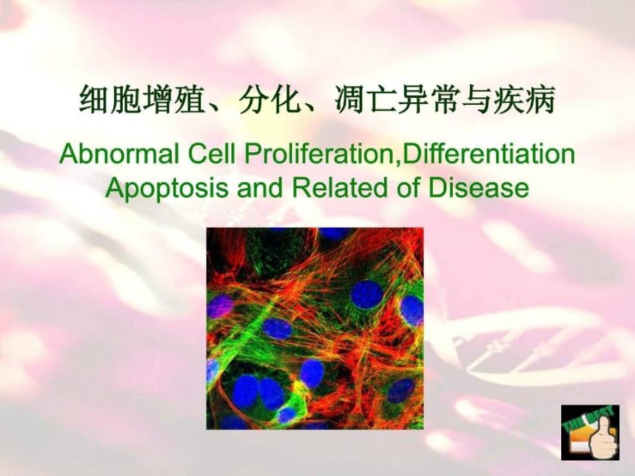 细胞增殖、分化、凋亡异常与疾病_第1页