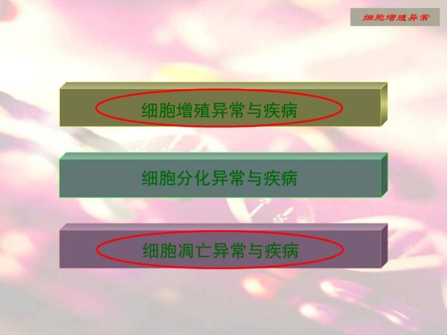 细胞增殖、分化、凋亡异常与疾病_第3页