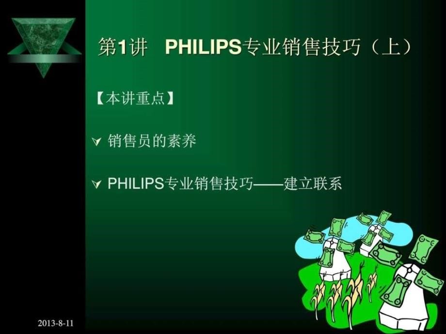 诸强华philips专业销售技巧_第5页