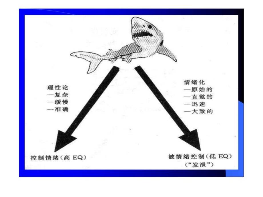 情商解析_第4页