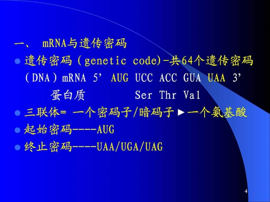 蛋白质的合成-翻译_第4页