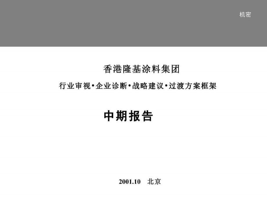 香港隆基（涂料）集团发展战略中期咨询报告_第1页