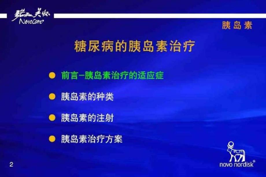 糖尿病胰岛素治疗+++患者教育_第2页