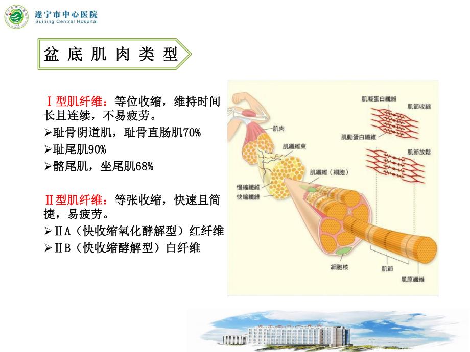 3.盆底肌电解读及应用基础_第3页