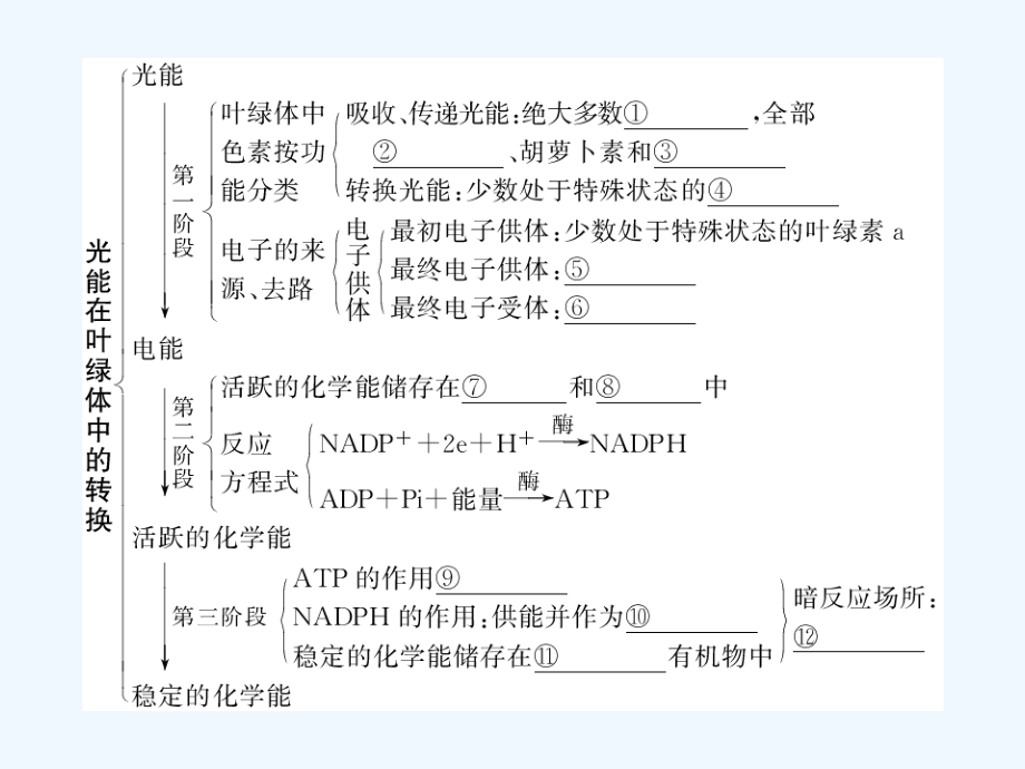 高三生物考点透析+第十单元+光合作用和生物固氮_第3页