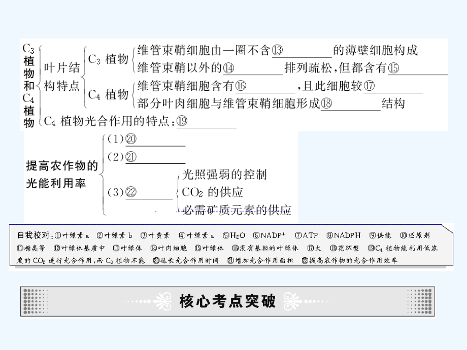 高三生物考点透析+第十单元+光合作用和生物固氮_第4页