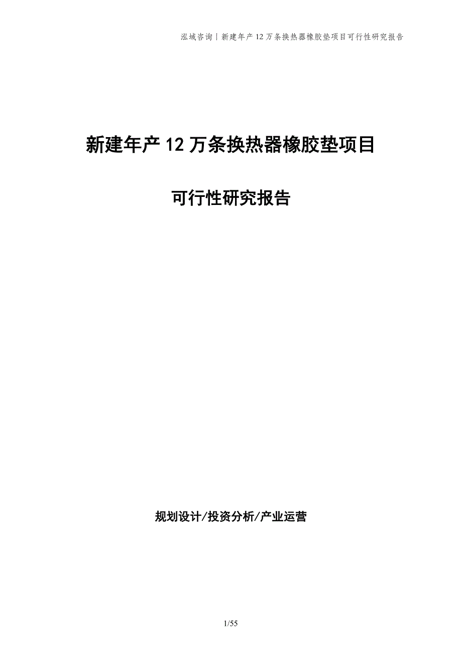 新建年产12万条换热器橡胶垫项目可行性研究报告_第1页