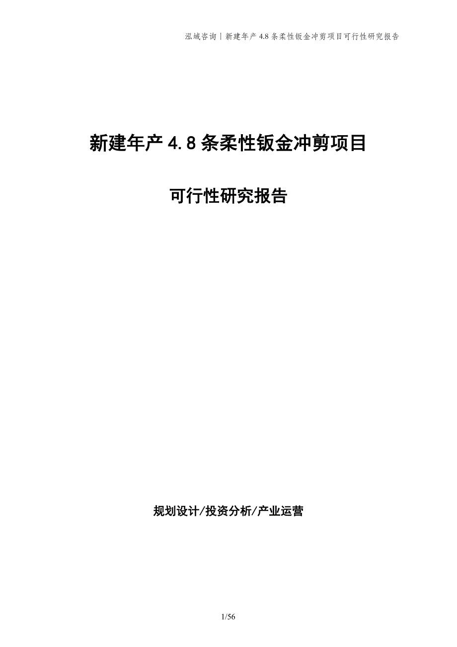 新建年产4.8条柔性钣金冲剪项目可行性研究报告_第1页