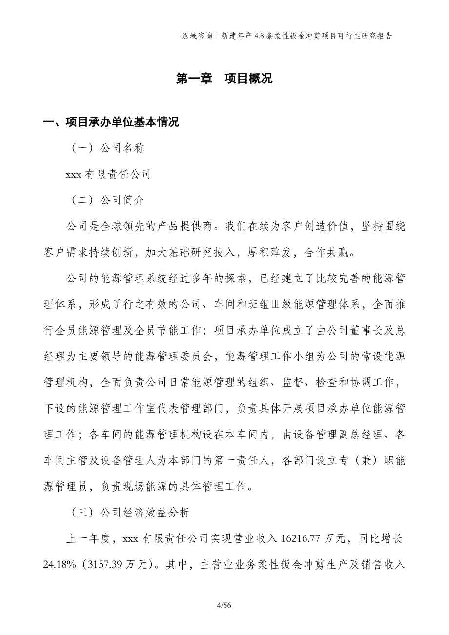 新建年产4.8条柔性钣金冲剪项目可行性研究报告_第4页