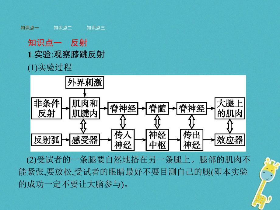 七年级生物下册 3_5_3神经调节的基本方式课件 （新版）济南版_第2页