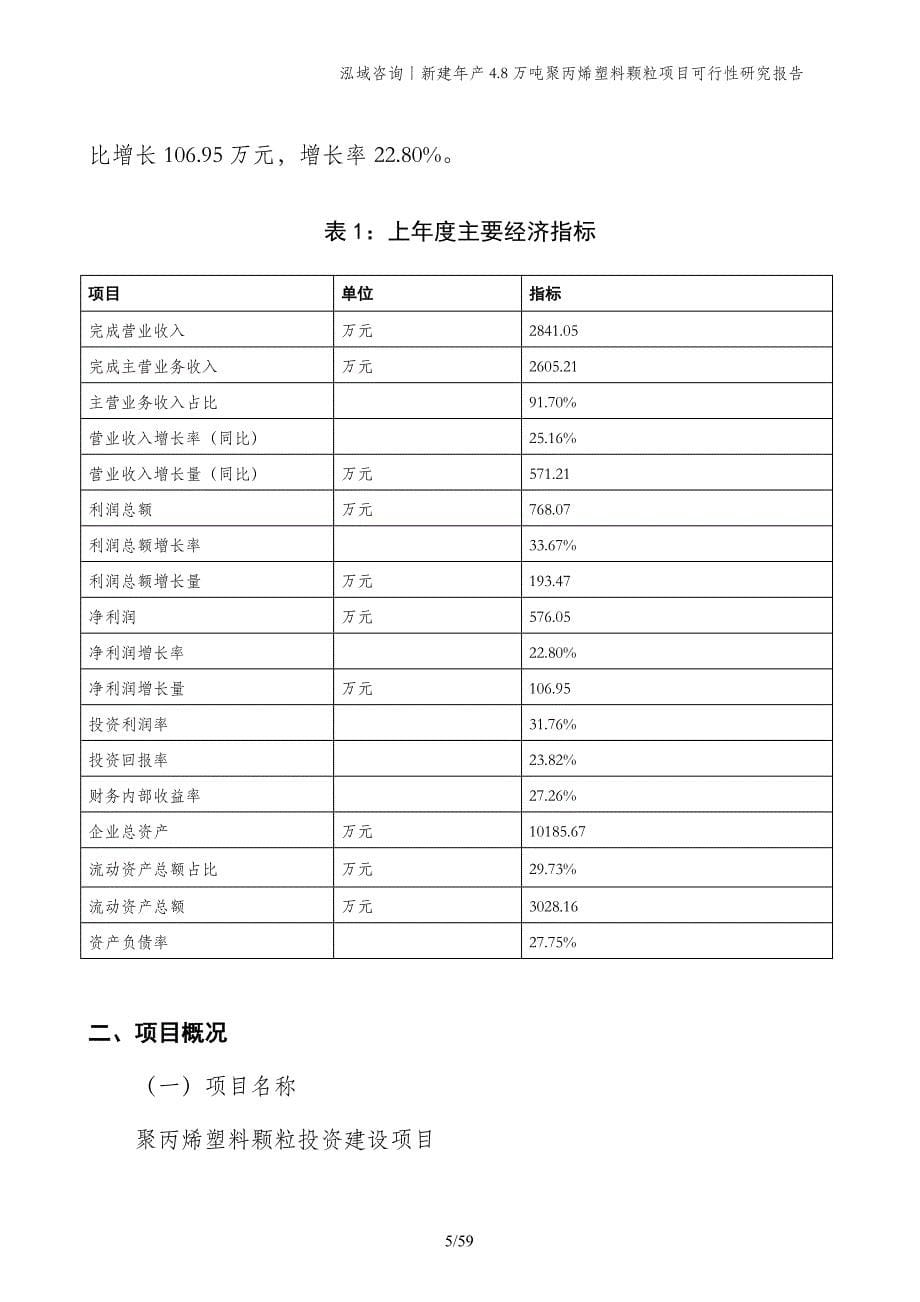 新建年产4.8万吨聚丙烯塑料颗粒项目可行性研究报告_第5页