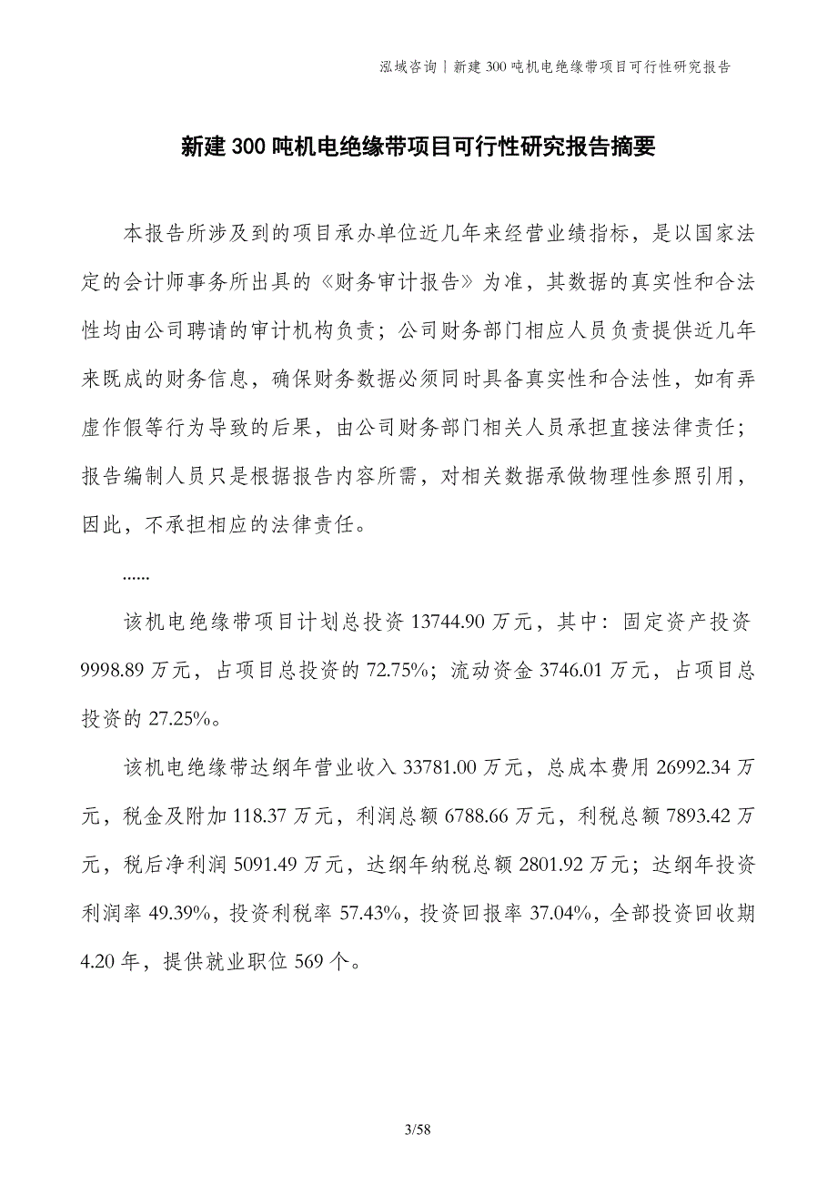 新建300吨机电绝缘带项目可行性研究报告_第3页