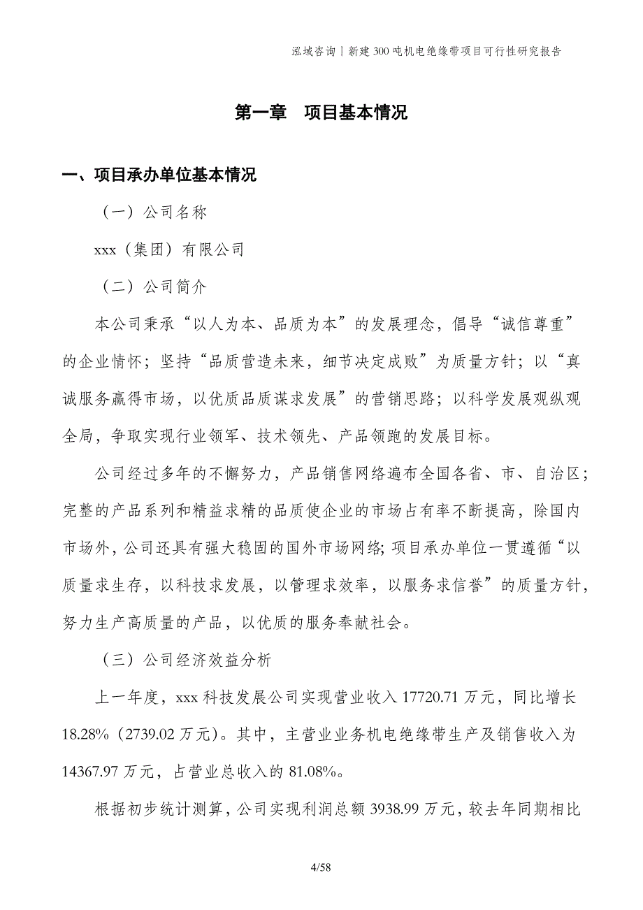 新建300吨机电绝缘带项目可行性研究报告_第4页