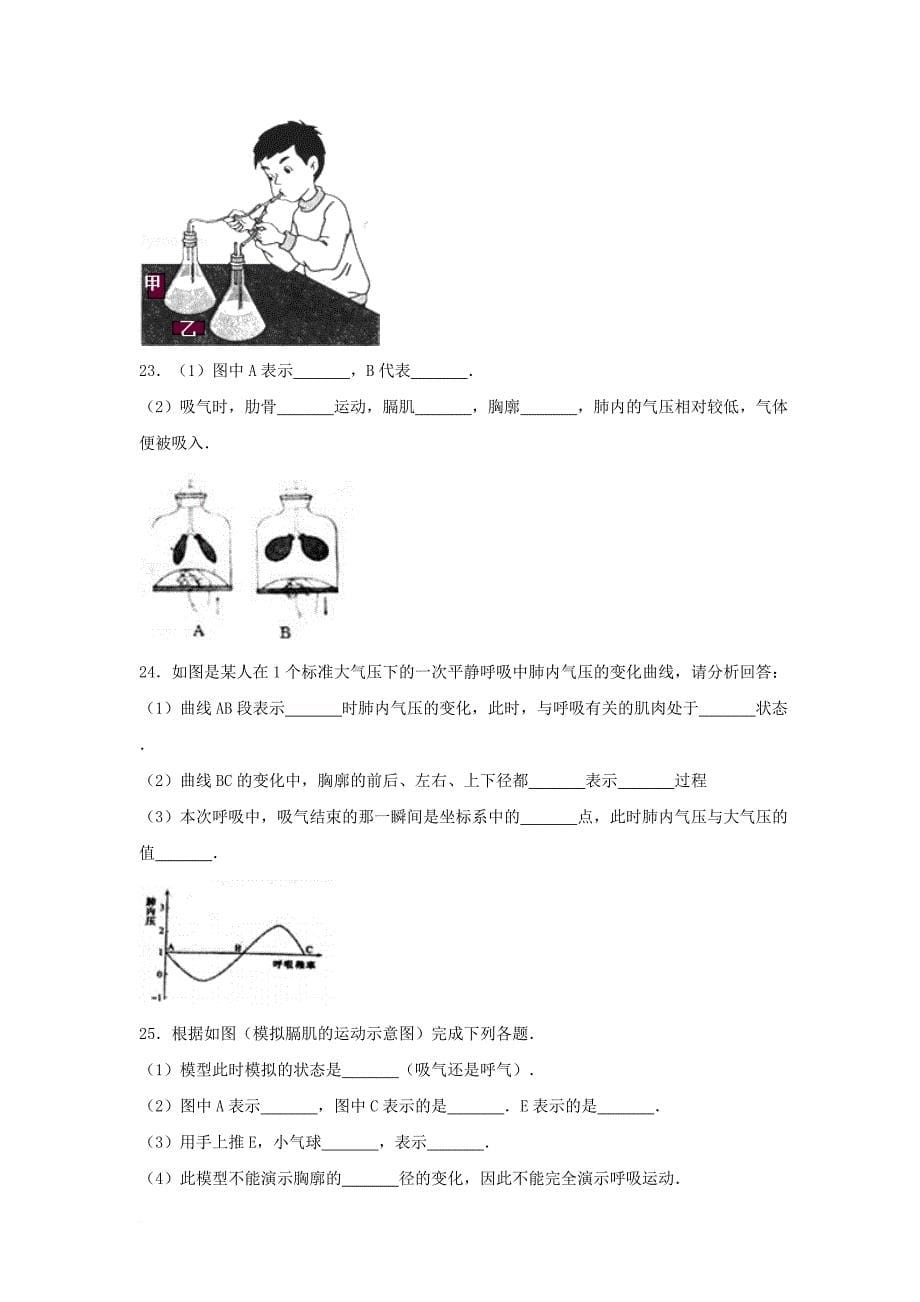 七年级生物下册第四单元第三章第二节发生在肺内的气体交换基础练习新版新人教版_第5页