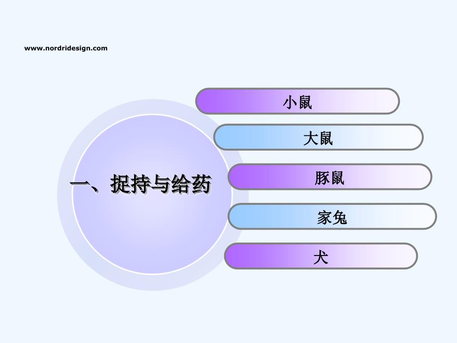 动物实验操作基本方法_第3页