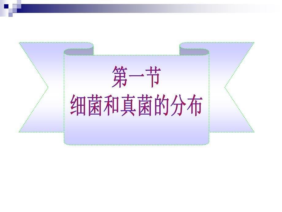 最新人教版八年级上册生物课件第四章第一节细菌和真菌分布_第5页