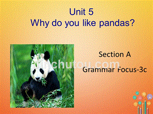七年级英语下册 unit 5 why do you like pandas section a（grammar focus3c）课件 （新版）人教新目标版
