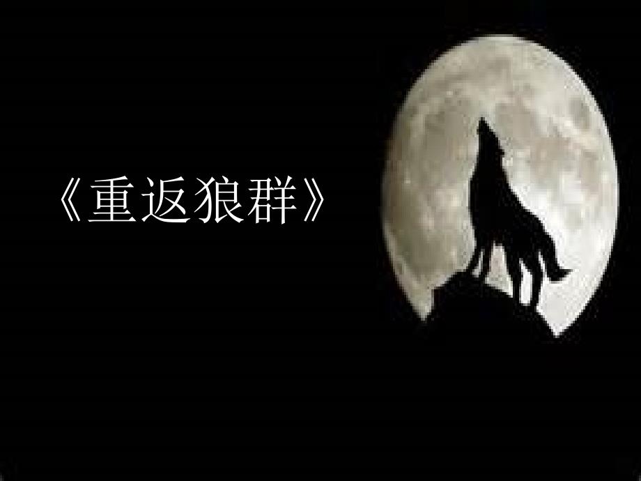 重返狼群_第1页